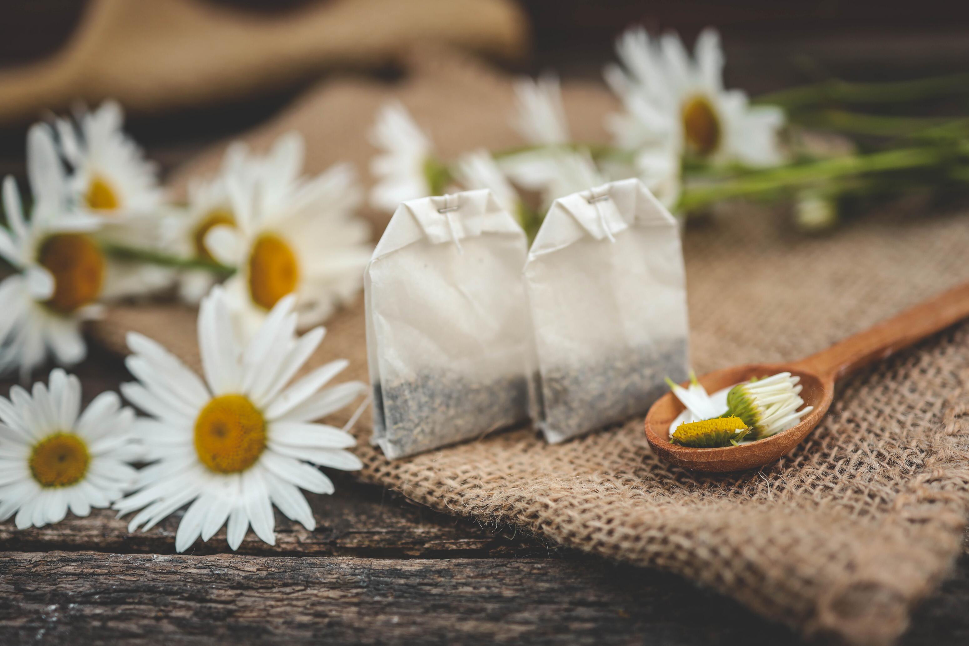 Kamillentee wirkt entz&uuml;ndungshemmend und beruhigend &ndash; ein klassisches Hausmittel bei Rosacea.

